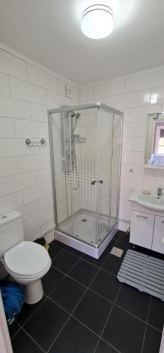 バイア・マーレにあるSwedish houseのバスルーム(シャワー、トイレ、シンク付)