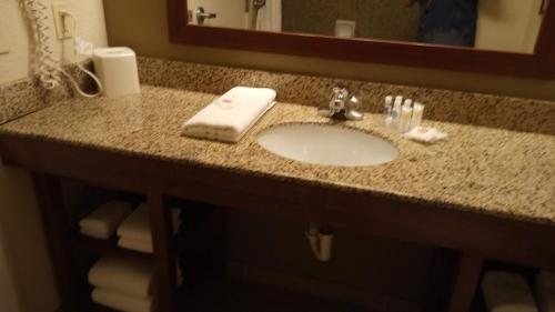 a bathroom counter with a sink and a mirror at Comfort Suites Golden Isles Gateway in Brunswick