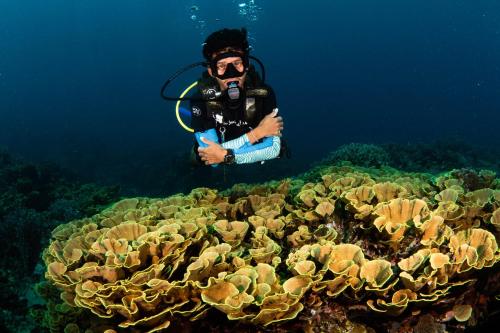 a man taking a picture of a coral reef at Sanctum Una Una Eco Dive Resort in Pulau Unauna