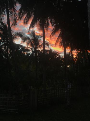 a sunset with palm trees in front of a fence at Sanctum Una Una Eco Dive Resort in Pulau Unauna