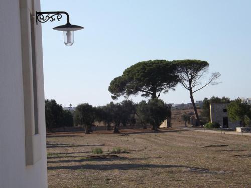 an outside view of a field with a tree at Masseria Cricelli in Lizzanello