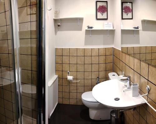 a bathroom with a toilet and a sink at B&B VELARDI in Viagrande