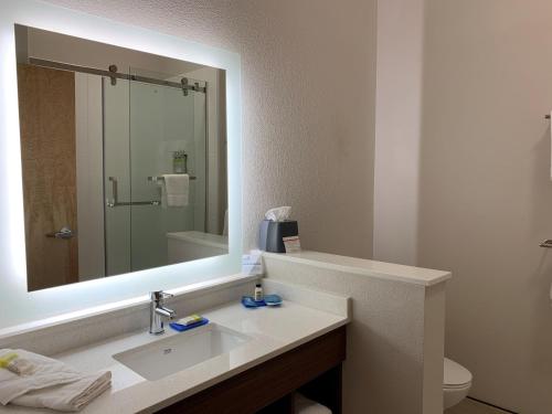 a bathroom with a sink and a large mirror at Holiday Inn Express & Suites Danville, an IHG Hotel in Danville
