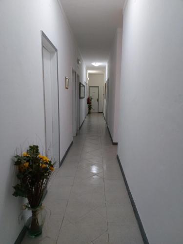 a hallway with white walls and a vase of flowers at Hospedaria A Italiana in Moura