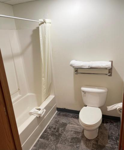 a bathroom with a toilet and a shower at Heritage Inn & Suites in Ripley