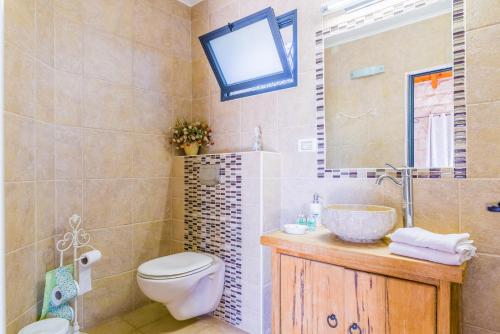 a bathroom with a toilet and a sink and a mirror at Alon Bagalil in Kahal