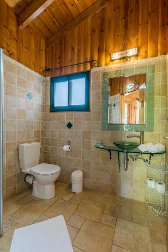 a bathroom with a toilet and a sink and a mirror at Alon Bagalil in Kahal