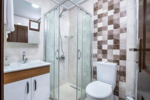凱梅爾的住宿－Sayan Apart Hotel，一间带卫生间和玻璃淋浴间的浴室