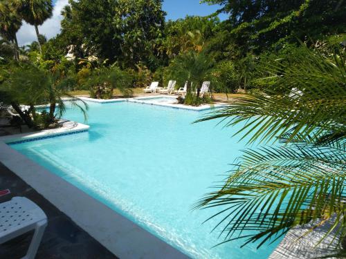 une grande piscine bordée d'un palmier dans l'établissement Hotel Coco Plaza, à Las Terrenas