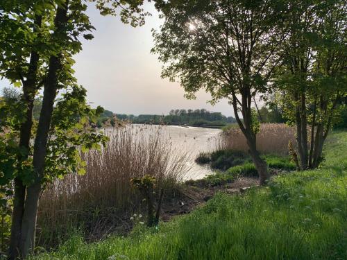a view of a river through the trees at De Koolputten in Waasmunster