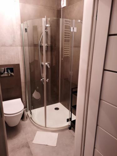 eine Duschkabine im Bad mit WC in der Unterkunft Kryształ A10, Garaż in Karpacz