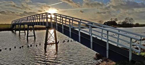 a bridge over a body of water with ducks on it at Hotelhuisje Warmenhuizen #D in Warmenhuizen