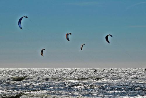 a group of kites flying over the ocean at Hotelhuisje Warmenhuizen #D in Warmenhuizen