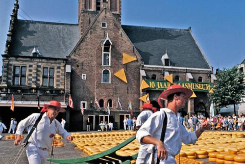 a group of men walking around a display of pumpkins at Hotelhuisje Warmenhuizen #B in Warmenhuizen