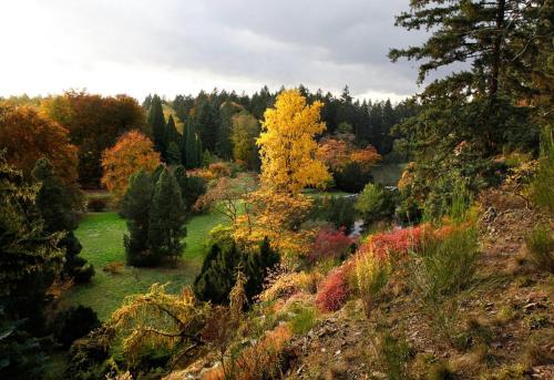 a garden with a yellow tree in a field at Hotel Floret in Pruhonice