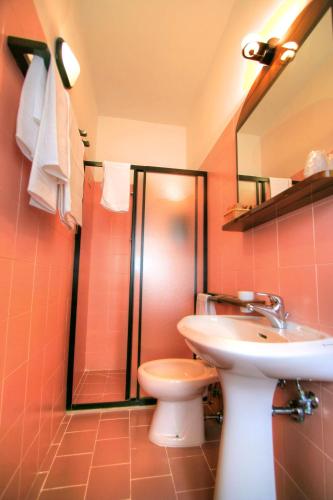 a bathroom with a toilet and a sink and a shower at Hotel Residence Villa Rioddi in Volterra