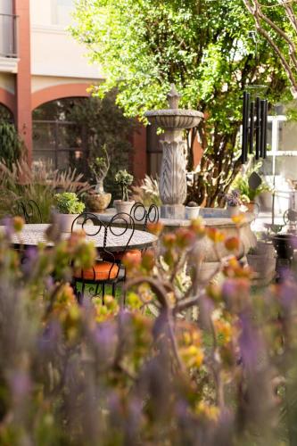 a garden with a fountain and benches and flowers at Casa De La O in San Miguel de Allende