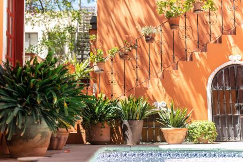 a group of potted plants in front of a building at Casa De La O in San Miguel de Allende