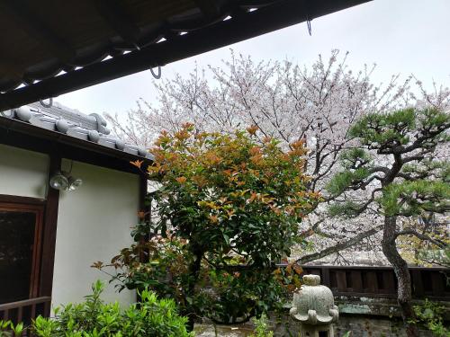 a house with a tree in front of a building at Guesthouse Sakichi in Beppu