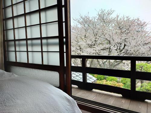a bedroom with a window looking out at a flowering tree at Guesthouse Sakichi in Beppu