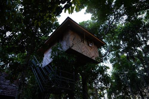 a tree house in the middle of some trees at Hiliya Resort in Kenichira
