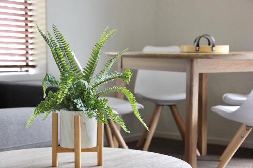 a green plant in a white vase on a table at Alpine Lake Motel in Taupo