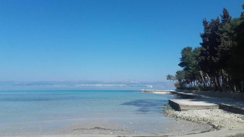 a view of a beach with trees and the water at Holiday home Pavarotti in Supetar