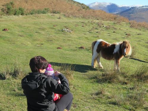 a man and a child looking at a pony on a hill at CASA RURAL Urruska in Elizondo