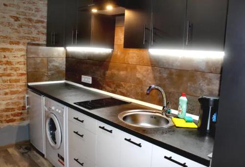 eine Küche mit einer Spüle und einer Waschmaschine in der Unterkunft Dorosh-HOME квартира-студія в центрі Львова in Lwiw