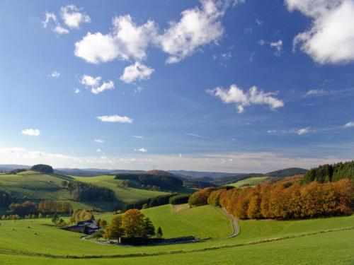 a green field with trees and a blue sky at Romantikhotel Platte in Attendorn