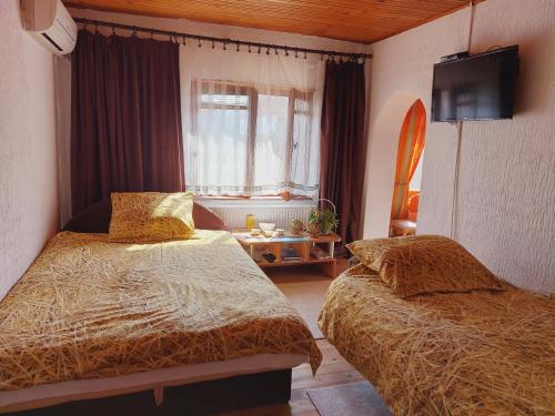 a hotel room with two beds and a window at Apartment Skiptar in Sremska Mitrovica