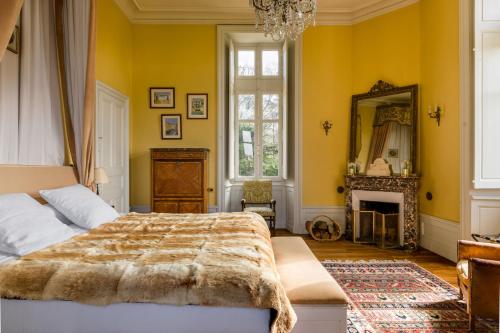 a bedroom with a large bed and a mirror at Chateau LE BROSSAY in Renac