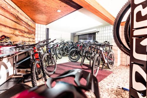 Fitness centrum a/nebo fitness zařízení v ubytování Hotel Alpenhof