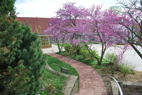 a garden with purple trees and a brick walkway at Lied Lodge at Arbor Day Farm in Nebraska City