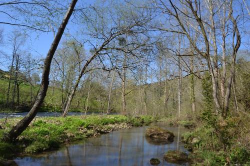 a river in the middle of a forest with trees at Casona del Nansa in Herrerias