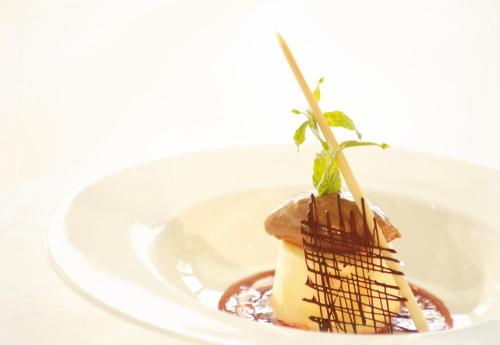 a white plate with a dessert with chocolate on it at Hotel Stefanshof in Plaus