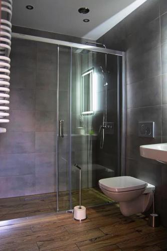 a bathroom with a shower and a toilet and a sink at Ludowa Restauracja & Noclegi in Kietrz