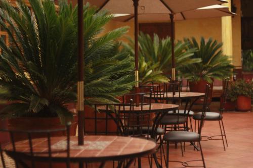ein Restaurant mit Tischen und Stühlen mit Pflanzen in der Unterkunft Posada de la Salud in Pátzcuaro