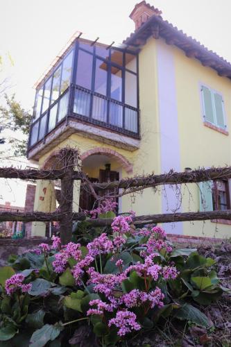 Il Caprifoglio – Photos 5