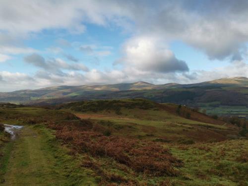 Gallery image of Tri deg un, cottage for 2 adults and 2 children in Machynlleth