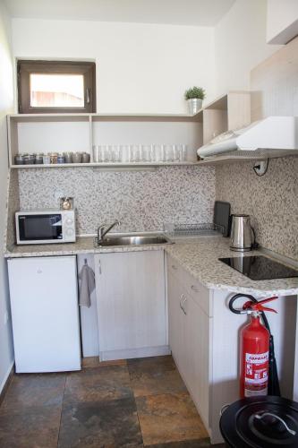 Dapur atau dapur kecil di Марковската къща