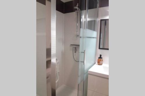 a bathroom with a shower and a sink at T2 cosy/balcon sud ouest/300m-mer/Villers sur Mer in Villers-sur-Mer