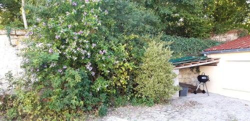 Photo de la galerie de l'établissement Cosy Spa, à Venette