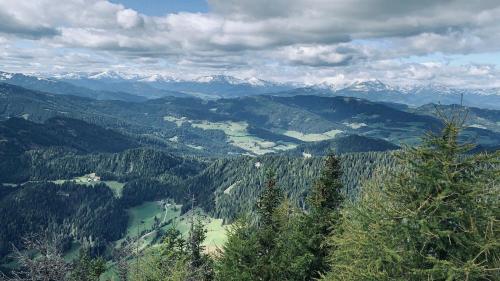 a view of a valley with mountains and trees at Zirbitz Hütte mit Sauna und Kamin in Sankt Lambrecht