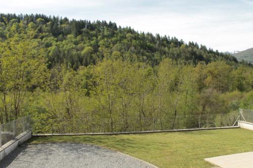 a garden with a view of a mountain at Gite Ladagnous in Peyrouse