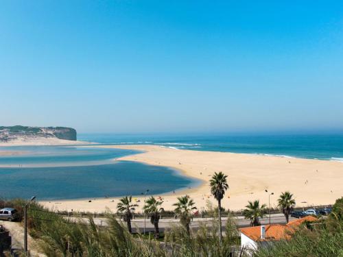 een uitzicht op een strand met palmbomen en de oceaan bij Apartment Panoramico - FDA115 by Interhome in Foz do Arelho