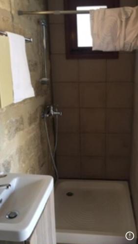 a bathroom with a shower and a sink and a toilet at Amalia Panorama House in Zanaja