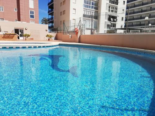 duży niebieski basen z budynkami w tle w obiekcie Caprimar Solo Familia Serviplaya w mieście Playa de Gandia