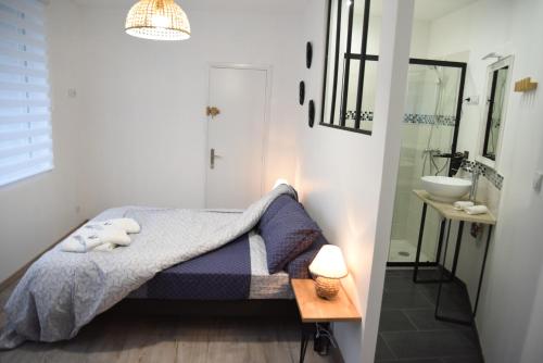 une chambre avec un lit et une salle de bain avec un lavabo dans l'établissement Appartement de charme RDC, à Boulogne-sur-Mer