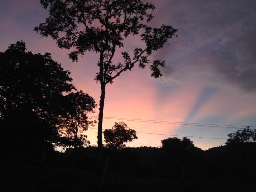 a tree silhouetted against a colorful sky at sunset at La Hacienda in San Gil